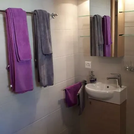 Joli Studio Meuble De 38m2 Dans Chalet Construit En 2016 Apartment Leysin
